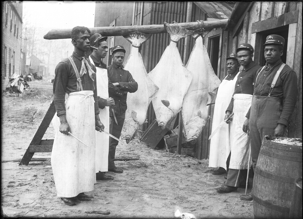 Black and white photo of six men standing in front of three large halibut