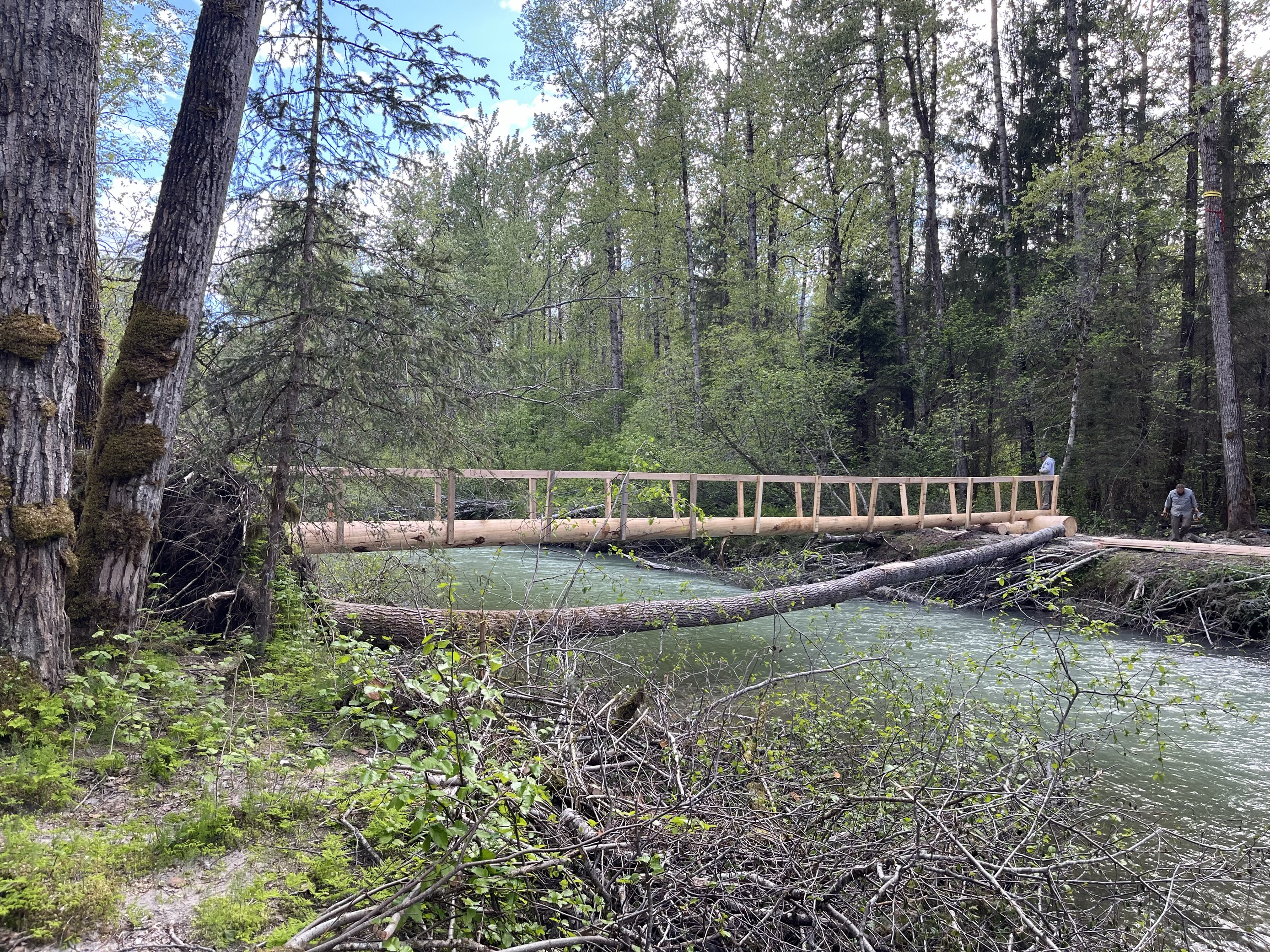 new primitive log bridge will allow foot traffic to cross a side channel of the Taiya River at Mile 1.5.