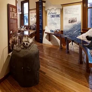 The interior of the Visitor Center Museum with wall in center and exhibits on sides.