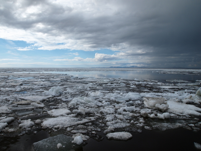 Chunks of ice float in a body of water known as the Kotzebue Sound