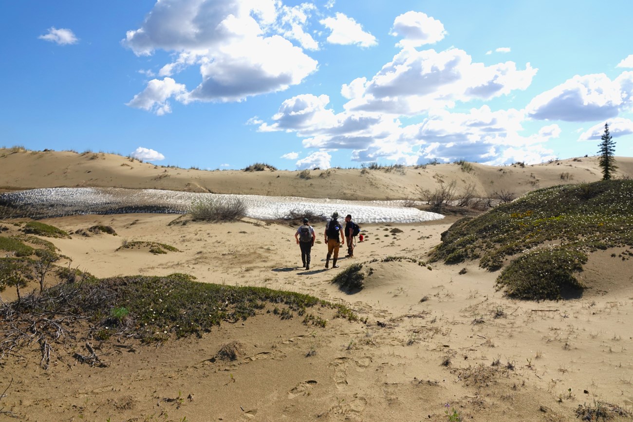 Three hikers approach the sand dunes. Green vegetation covers the dunes in foreground.