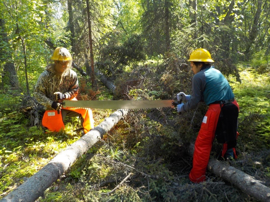 two men in hardhats use a large bow saw to cut a tree log