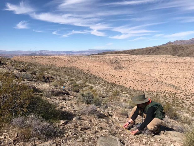 Person wearing field clothes and wide-brimmed hat crouches down near ground along a stretched-out meter tape to collect vegetation data.