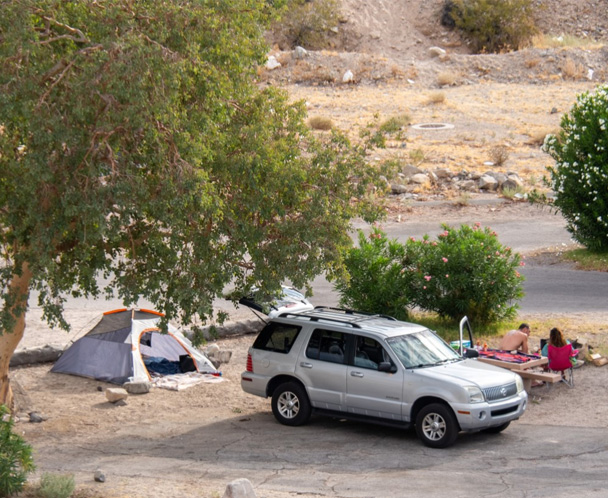 Cottonwood Cove Campgrounds