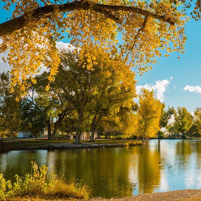 Las Vegas Park