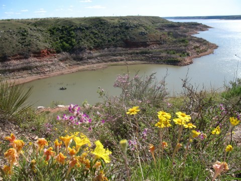 Wildflowers overlook a boater on Lake Meredith.