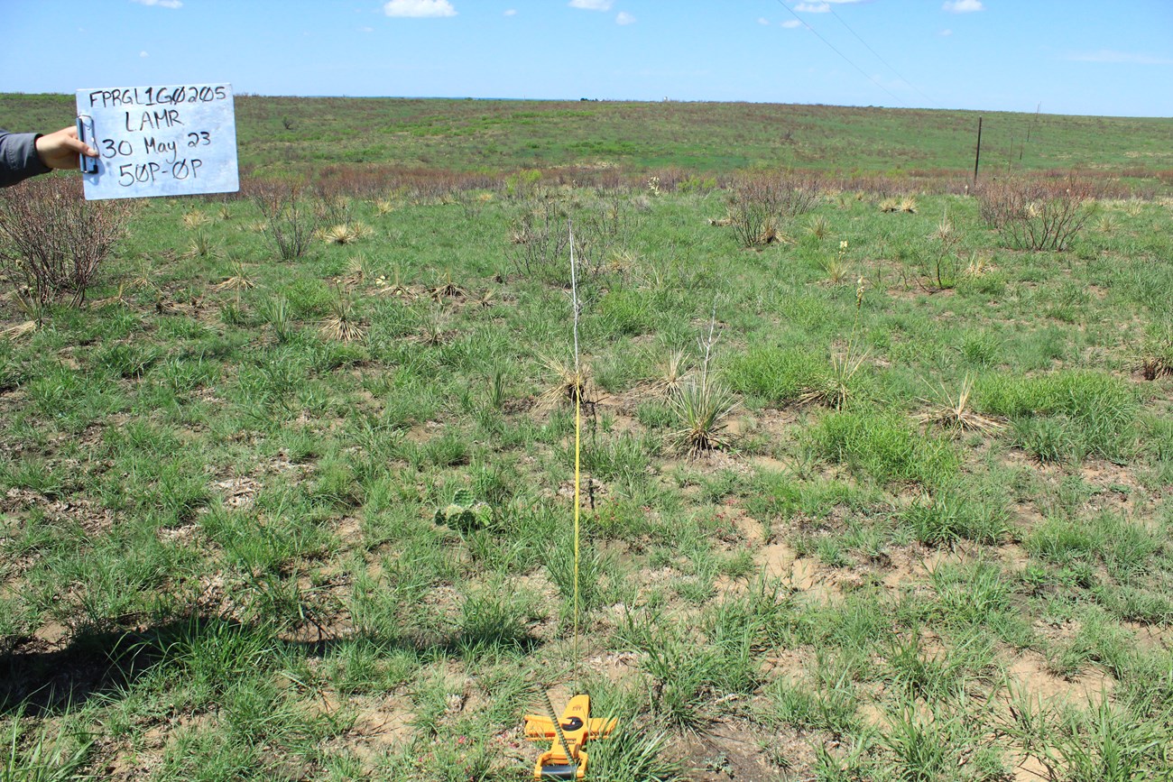 Image of green grass, patches of dirt and dormant mesquite trees. A person holds a sign with "FPRGL1G0205/LAMR/30 May 23/ 50P-0P" written on it. The sky is blue.