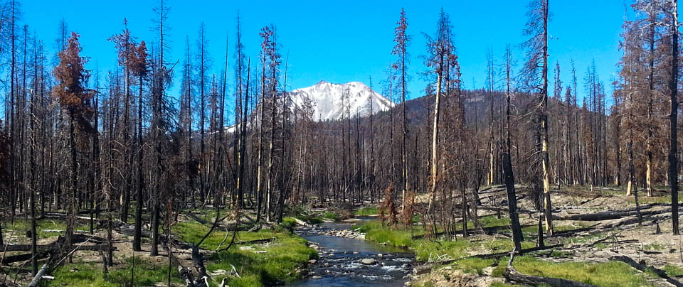 Lassen National Park - Naturalists at Large - Environmental education,  mixed conifer forests, red fir forests, subalpine areas, volcanoes,  Manzanita lake, Northern California