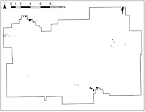 mullein map