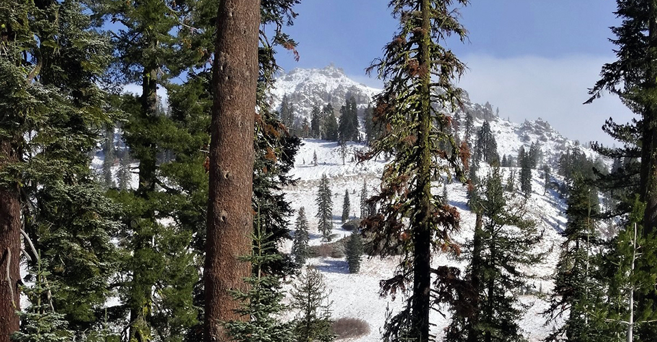 A rocky peak dusted with snow seen through conifer trees.