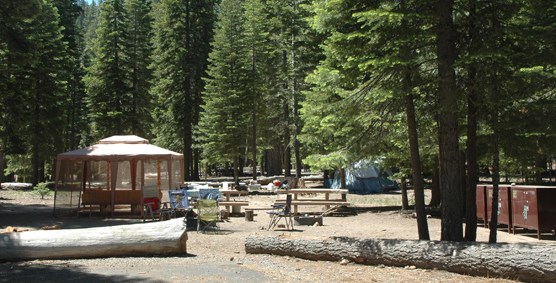 Lost Creek Group Campground Lassen Volcanic National Park U S