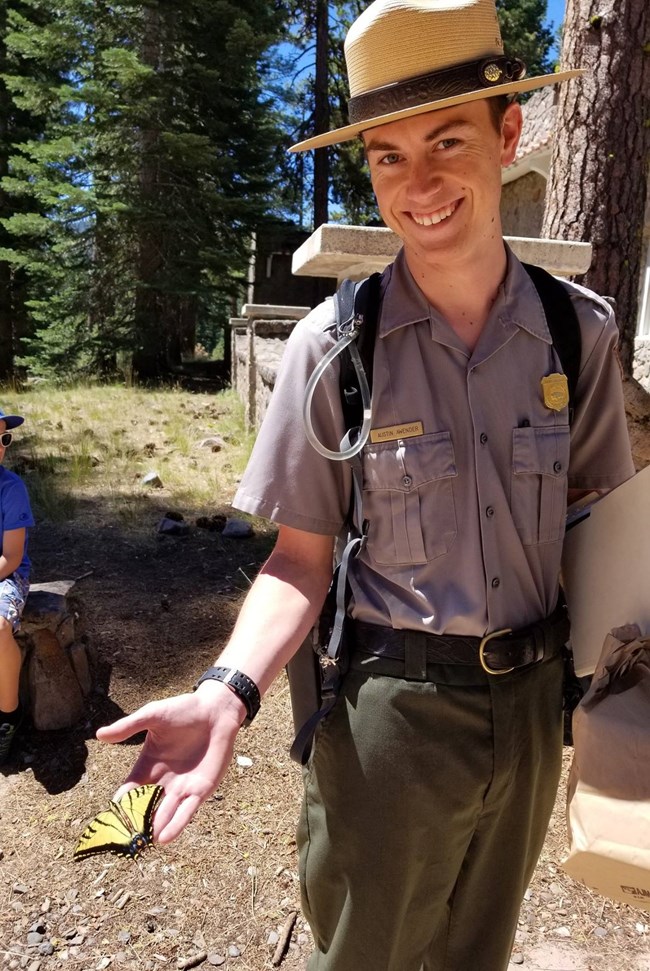 A park ranger cradles a yellow and black butterfly in their hand