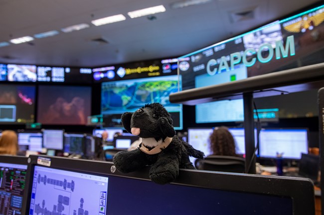 toy dog in mission control