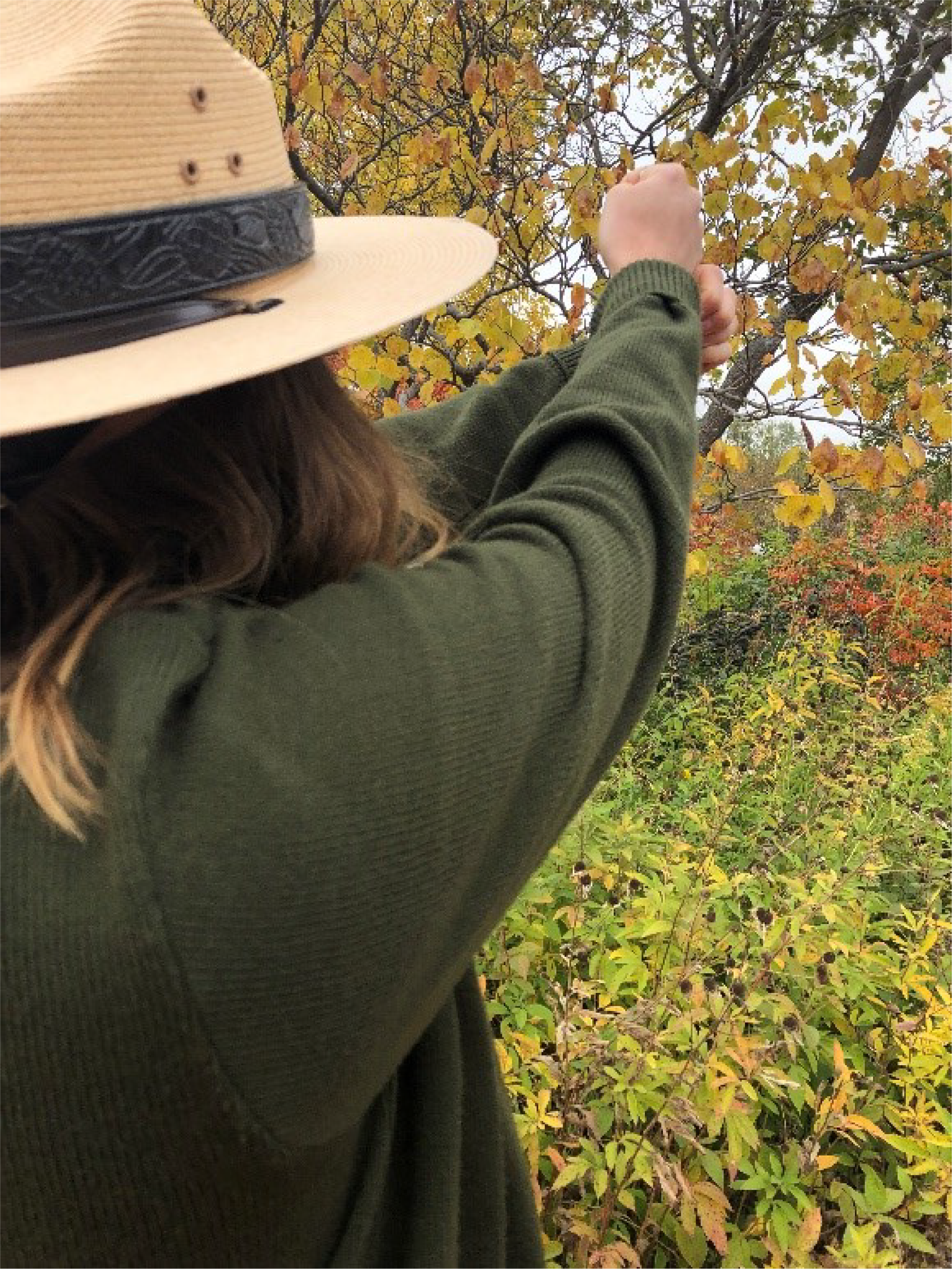 Ranger demonstrates finding latitude using hands A National Park Service ranger extends both of her arms straight in front of her with one fist on top of the other. Trees with green, yellow and red leaves are in the background.