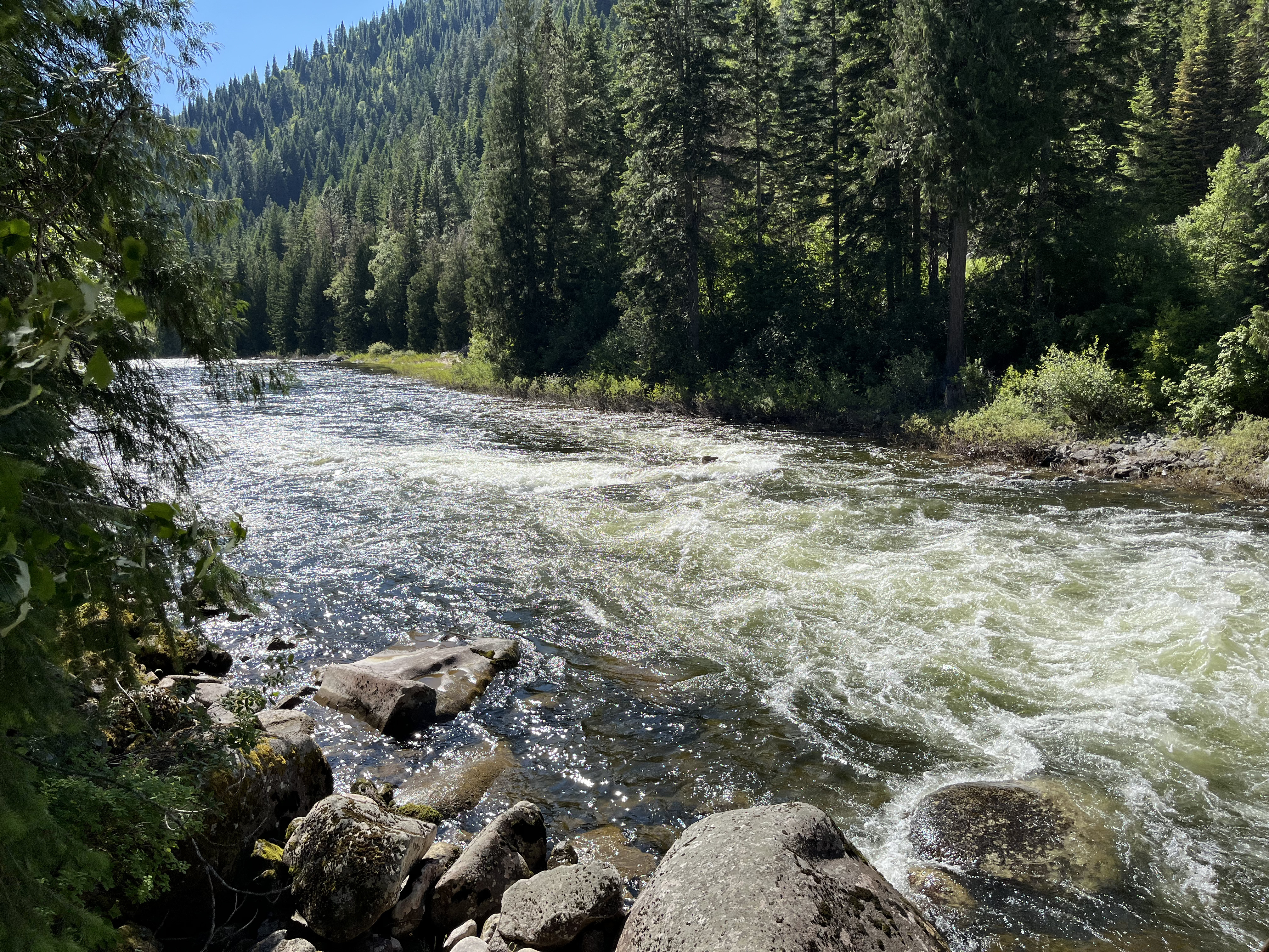 rushing river with trees on both sides