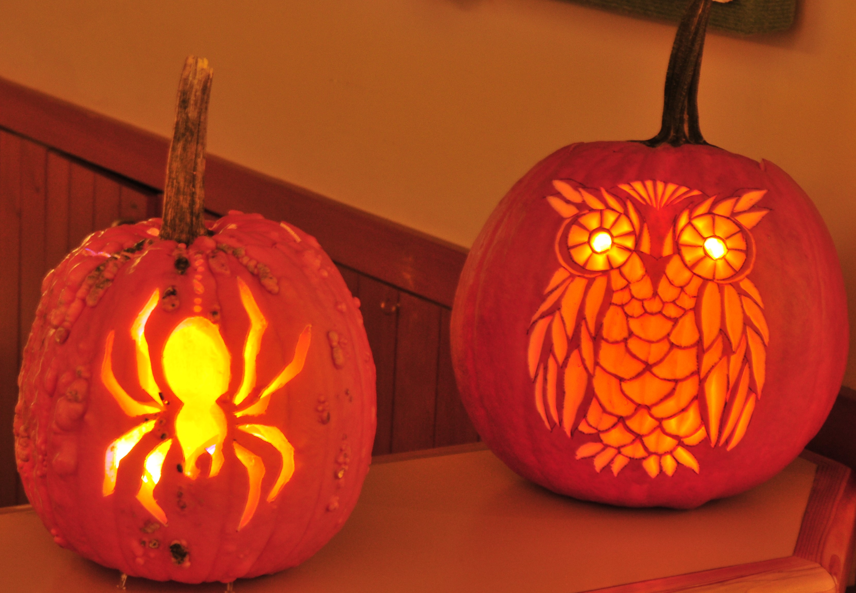 Two jack-o-lanterns sit side by side, the left has a carved spider and the right an owl.