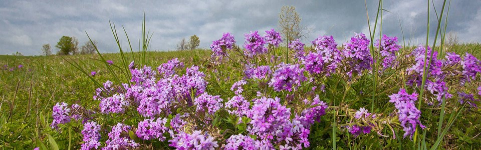 Things To Do In Missouri U S National Park Service