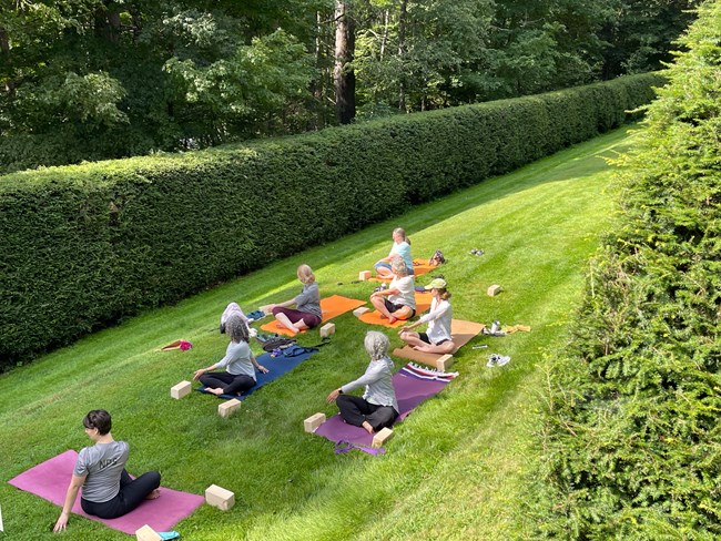 group of people on yoga mats do yoga on a lawn with hedges on either side