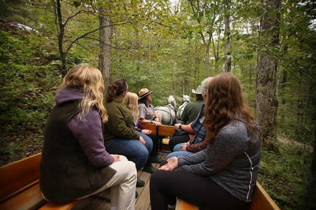 people sit on a horse drawn carriage and look on while park ranger talks