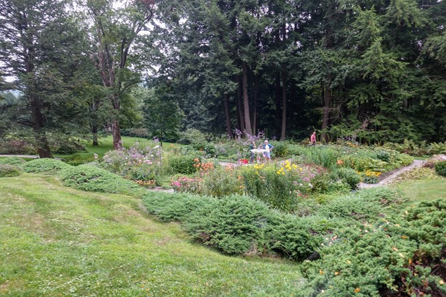 Formal Garden 2024 View of colorful garden from uphill