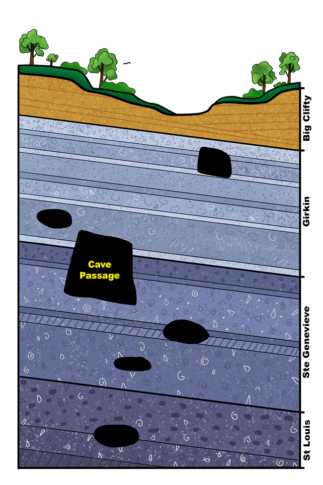 Stratigraphic Column A graphic showing layers of rock in the park. Soil and trees are shown at the top of the rock layers and dark cave passages are scattered throughout.