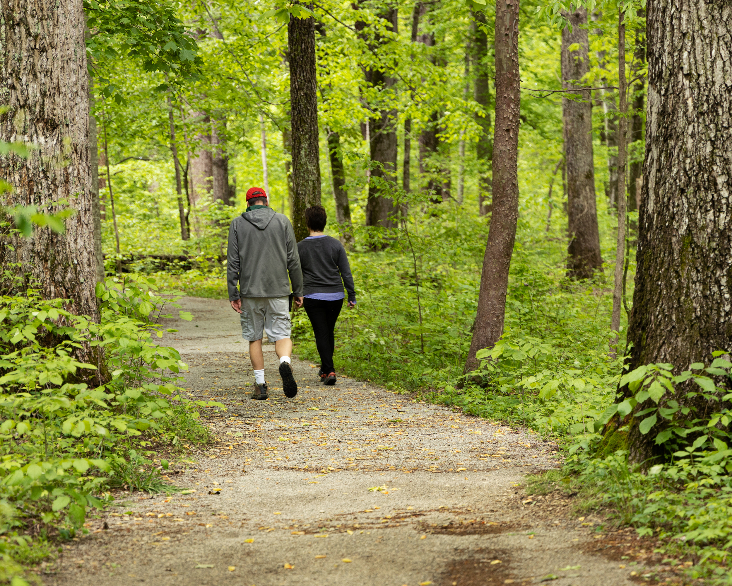 Two people walk on a gravel dirt trail in a green forest.