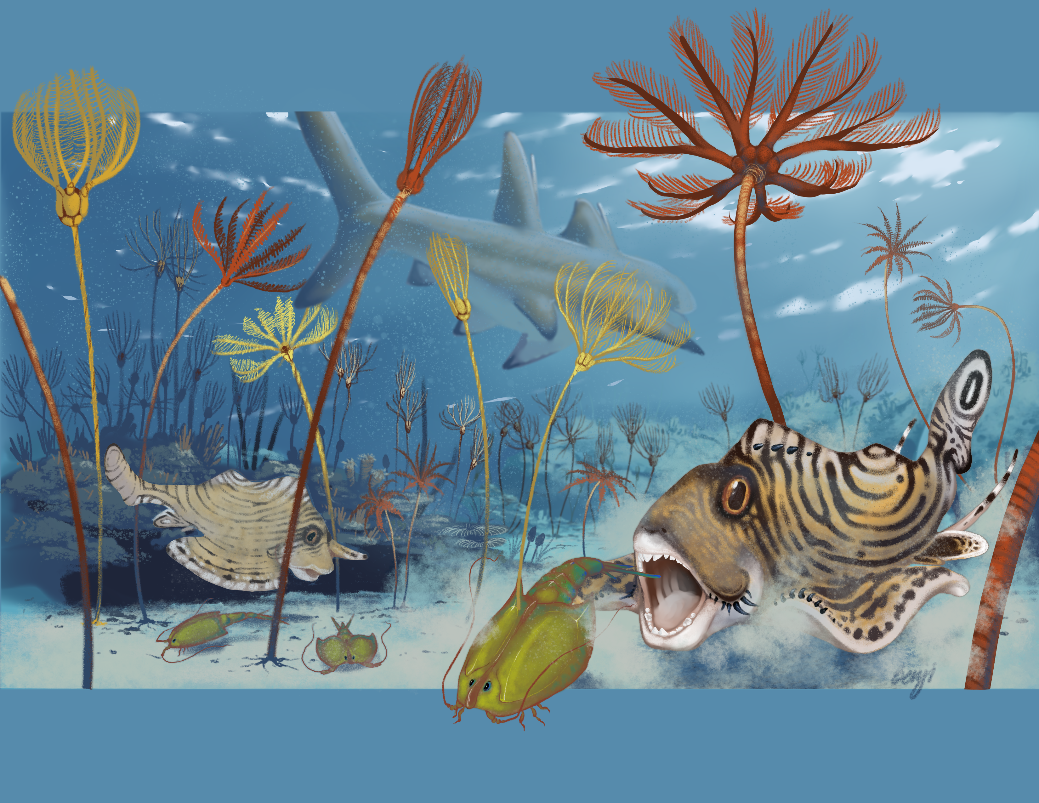 A pair of Clavusodens hunting along the sea floor that once covered much of central Kentucky. Illustration of an ancient underwater scene