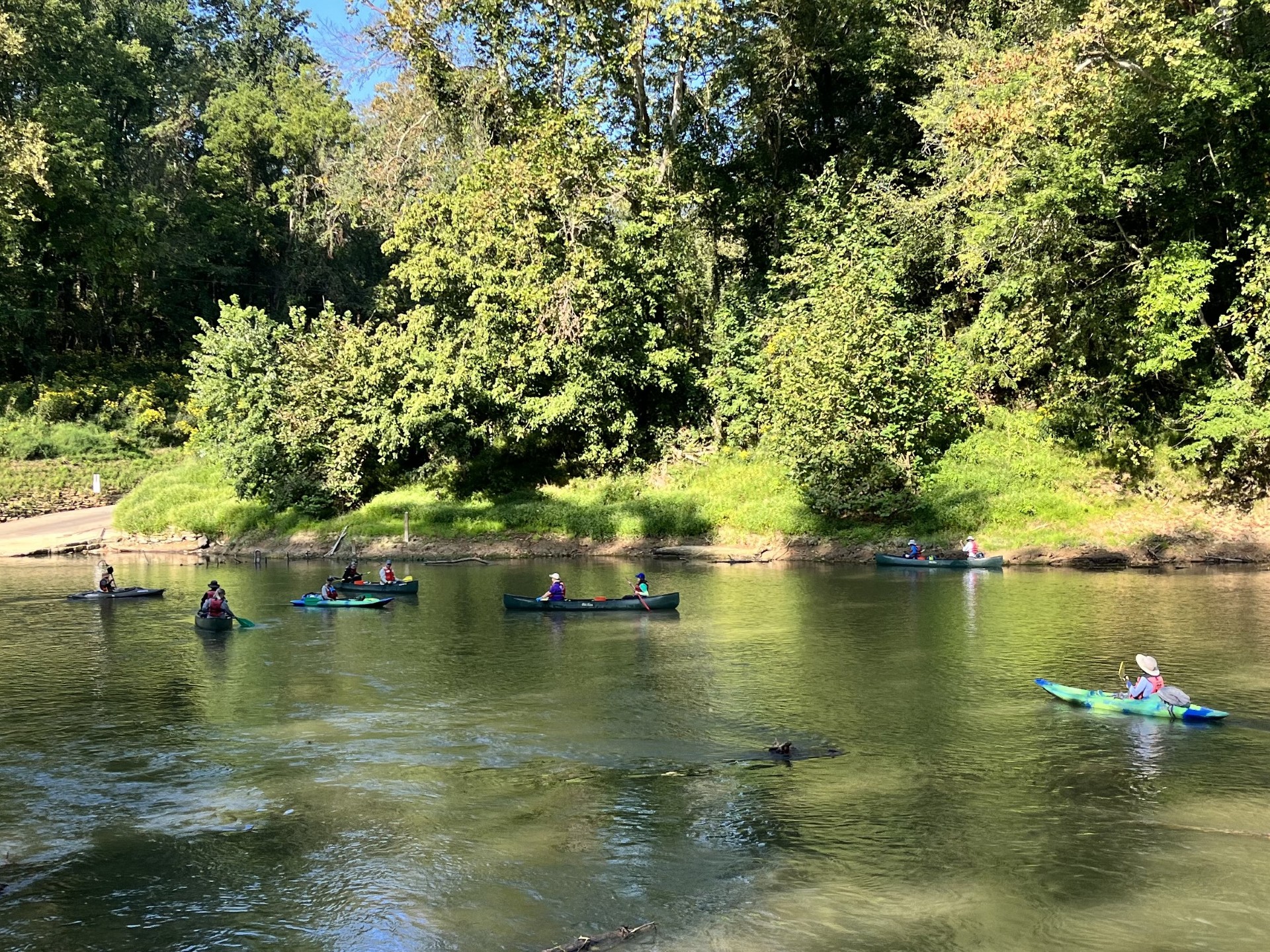 People float in several kayaks and canoes on a wide riverway surrounded by a green forest.