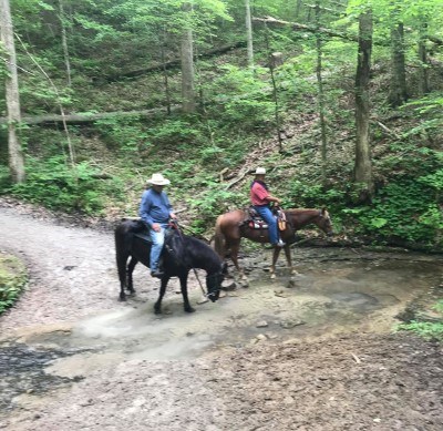 Two people riding horseback cross a small stream on the trail.