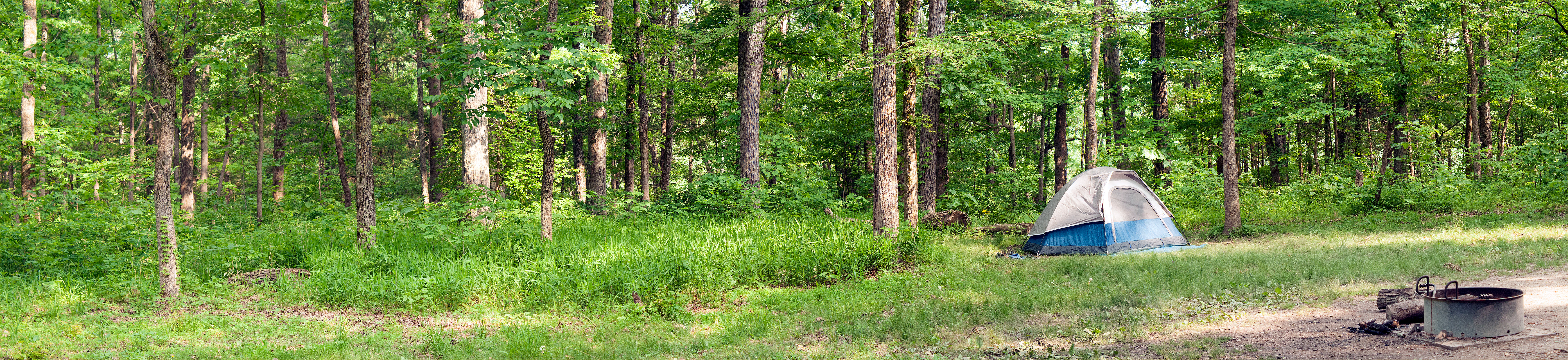 Mammoth Cave Campground Mammoth Cave National Park U S National   MammothCaveCampground Campsite 