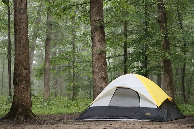 A yellow, white, and gray tent in a forest of green trees.