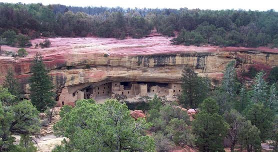 Post Fire New Site Survey Mesa Verde National Park U S