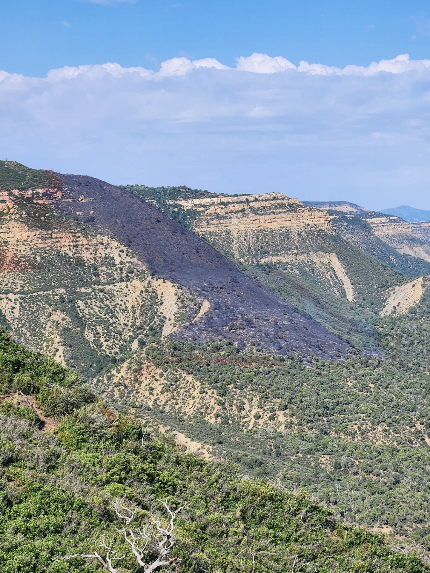 North facing terrain has two mesas that drop off one as a cliff and the other to a slope which shows a recent burn area