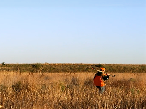 Hunter walking through a field of grass.