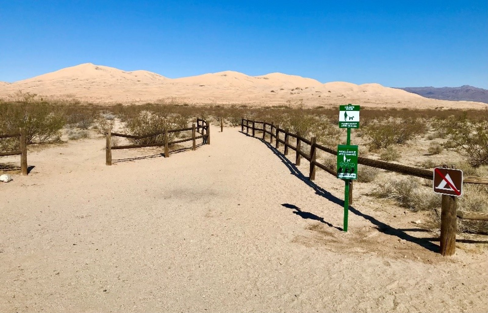 are dogs allowed in mojave national preserve