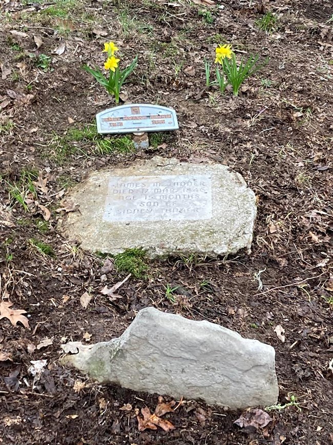 Flowers bloom next to stone grave markers.