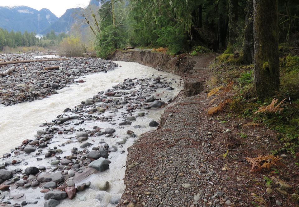 Mount Rainier National Park Reopens Carbon River Area Access Mount