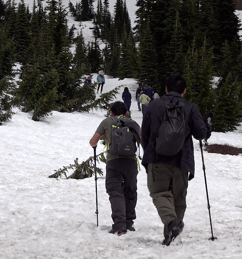 Two hikers with hiking poles and backpacks follow other people up a snow covered slope.