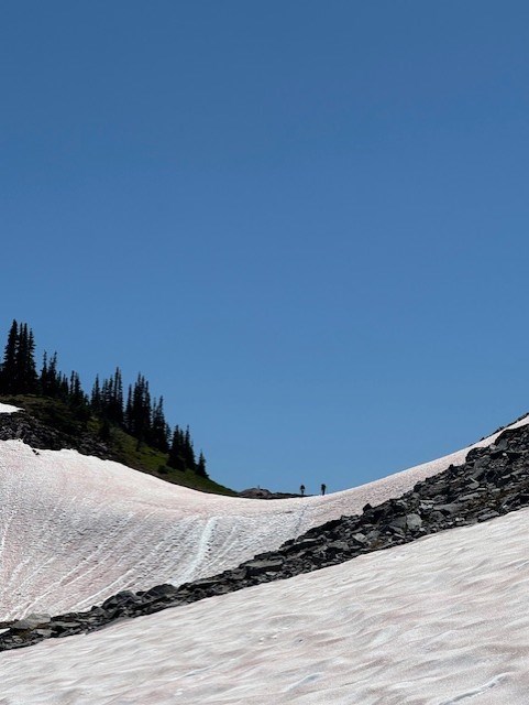 Steep snow slope just south of Panhandle Gap. Steep snow slope just south of Panhandle Gap.