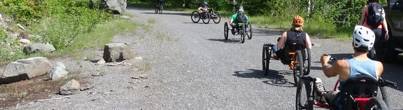 A group of handcyclists travel up a gravel road surrounded by tall evergreen trees.