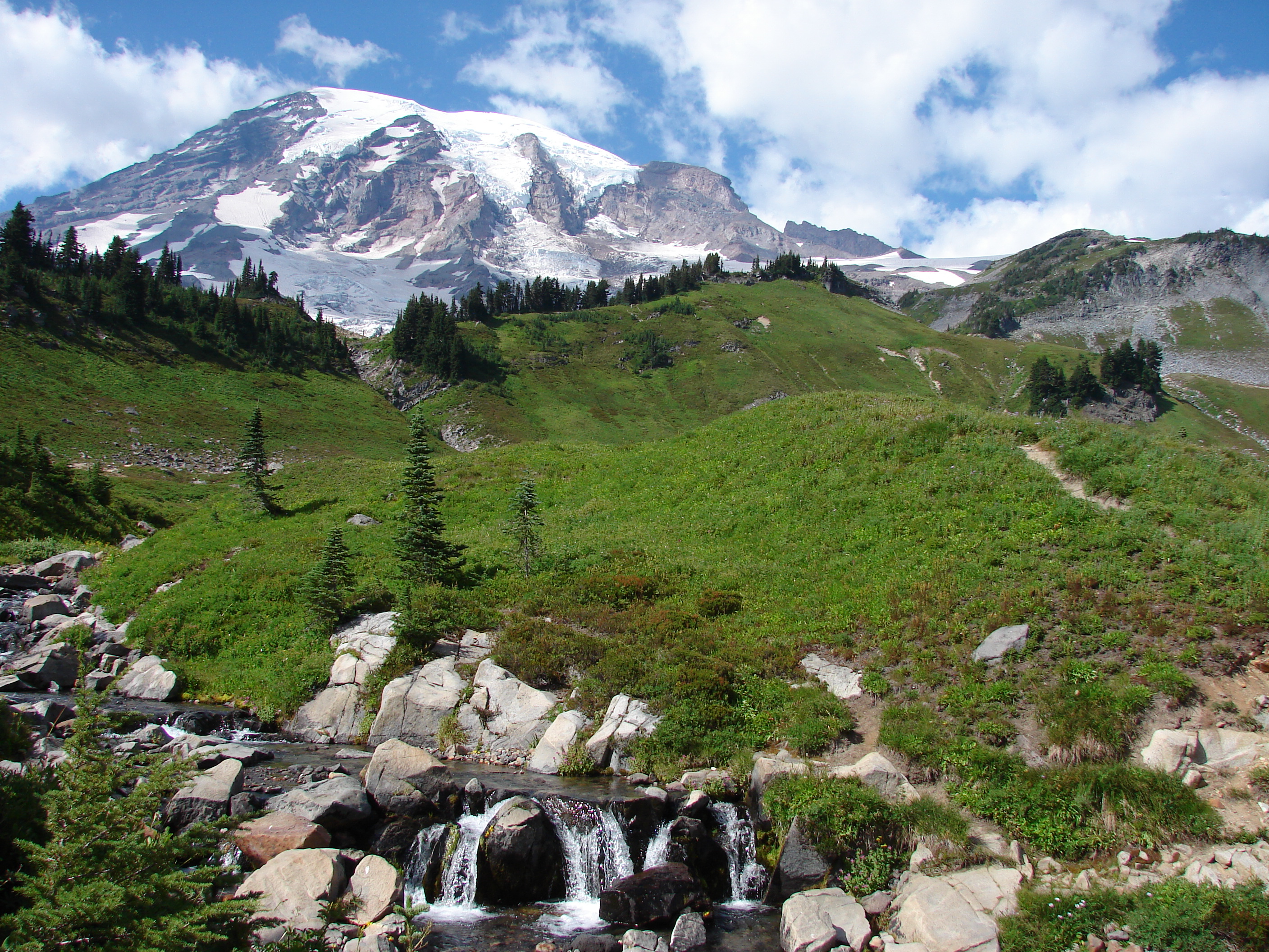 Mount Rainier National Park Visitor Programs Donation