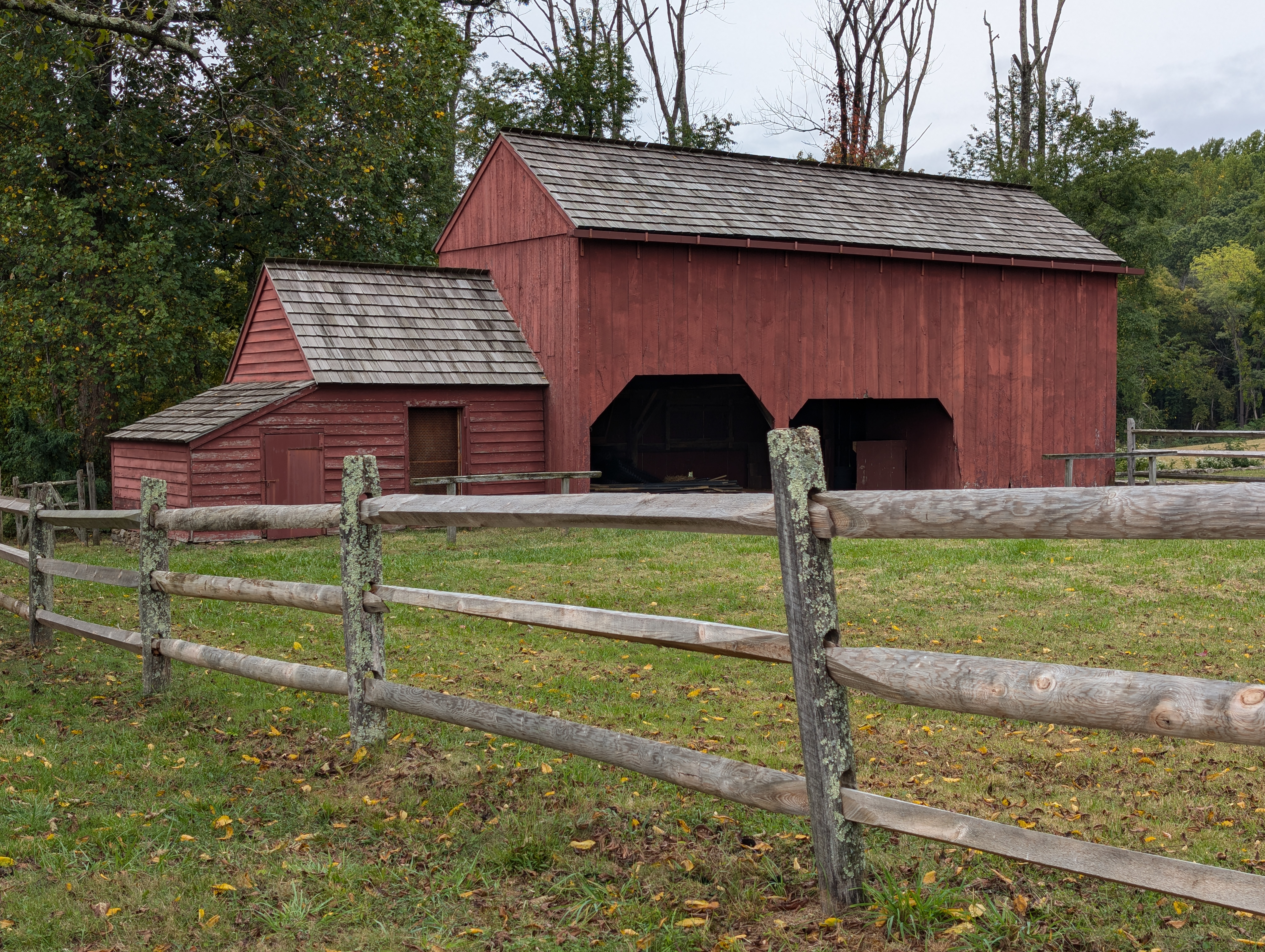 A red, wooden barn stands in the background, with yelllow-green grass on the ground. The forest surrounding is devoid of leaves, and a wooden fence stands in the foreground.