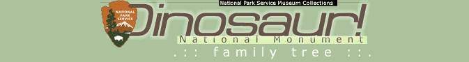 Dinosaur Family Tree Header Graphic