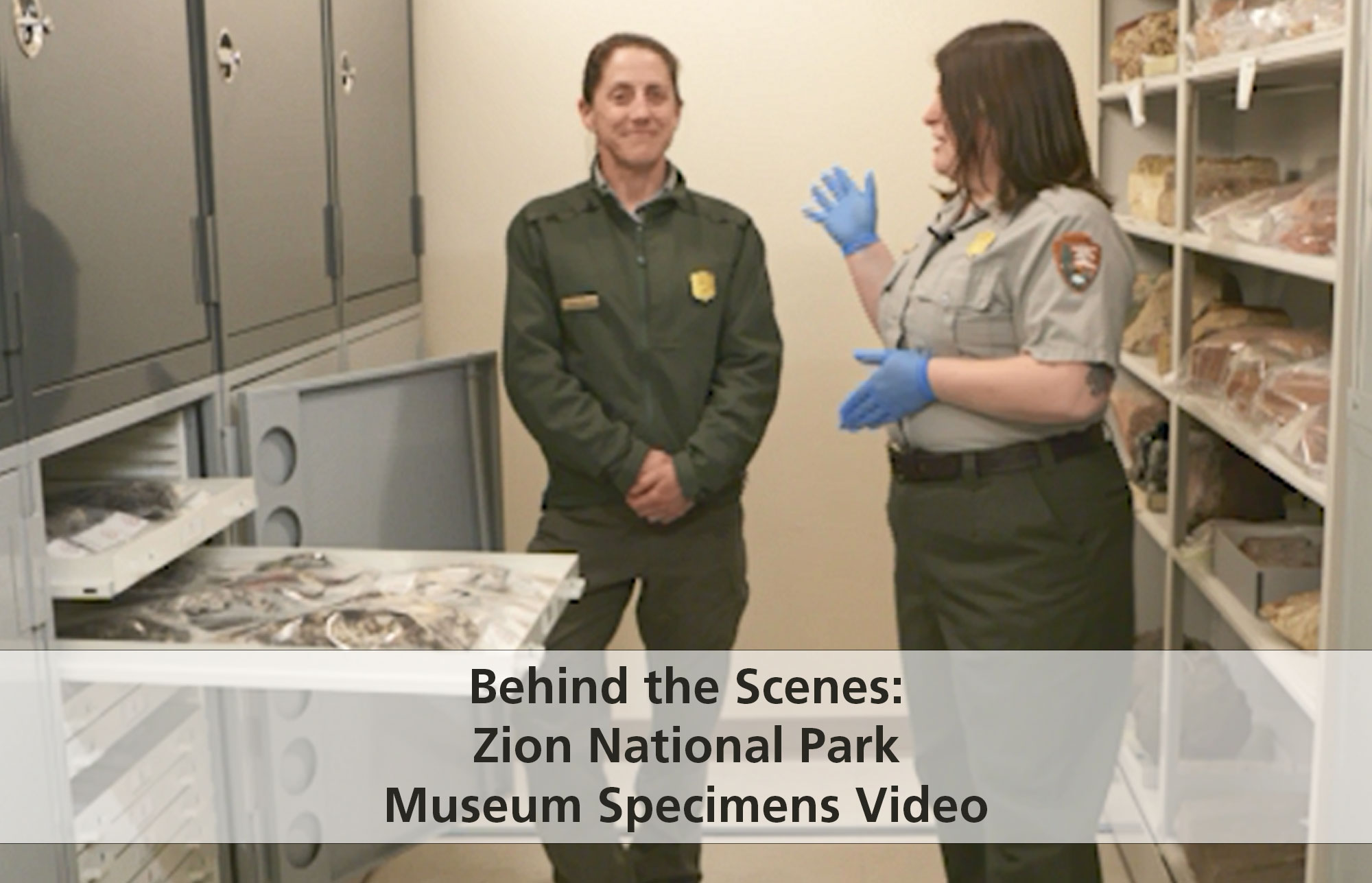 Behind the Scenes: Zion Museum Specimens