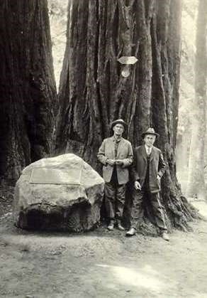 William Kent and Gilford Pinchot pose in front of redwoods trees, and large stone.