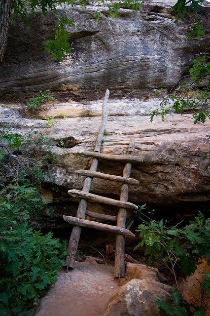 short, primitive wooden ladder resting against canyon ledge
