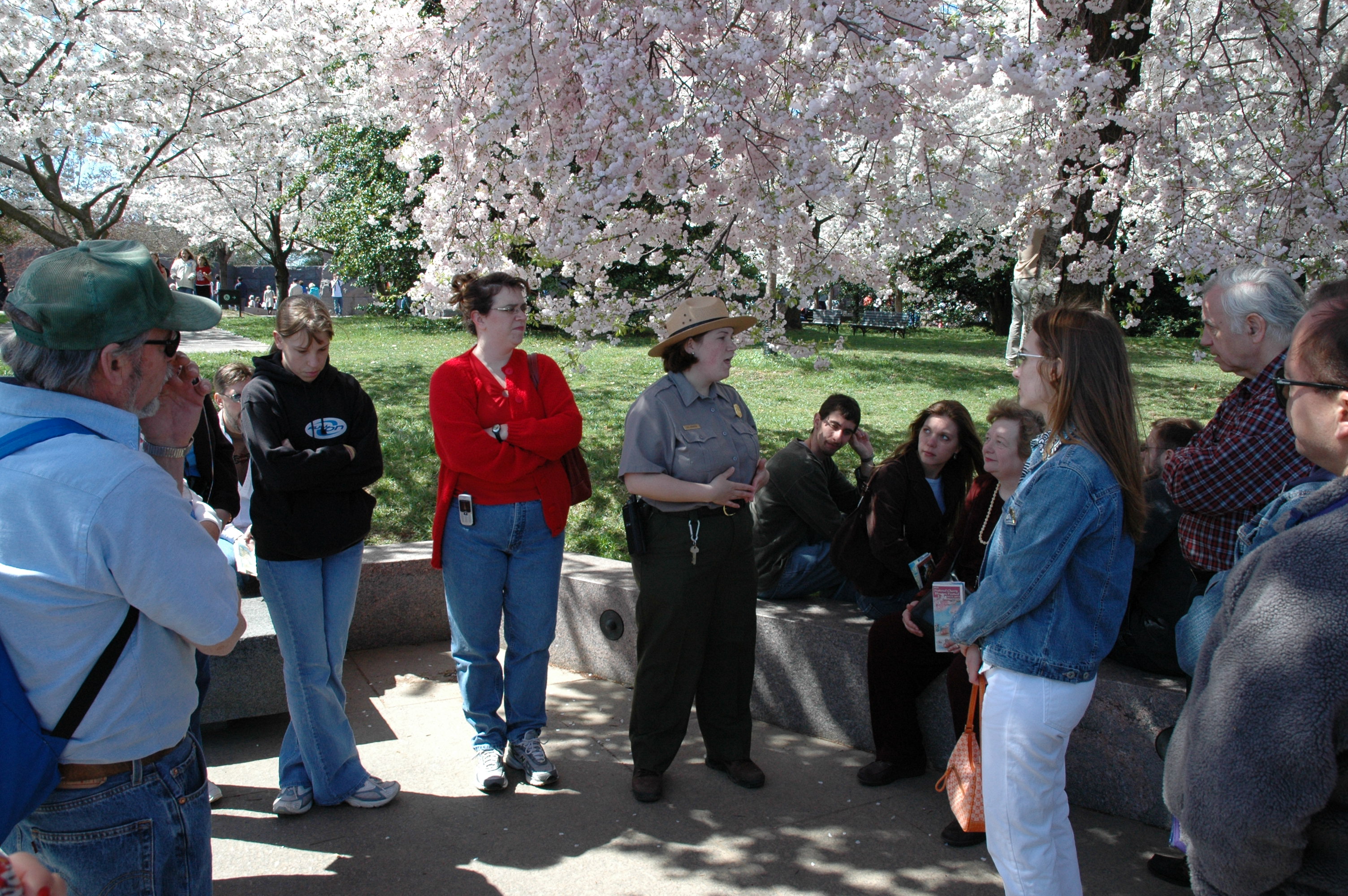 About Us - National Cherry Blossom Festival