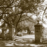 brick columns on either side of street surrounded by trees