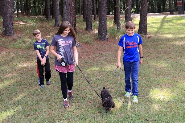 Three children and a small black dog are walking on a shaded trail.