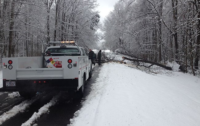 Maintenance workers are getting ready to clear a fallen tree off of a snow covered road.
